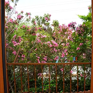  Villa Poseidon Turkey